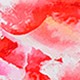 https://img.ltwebstatic.com/images3_pi/2024/09/06/ca/172560091564b36485c590d0609ac656cff6f9bf30.jpg
